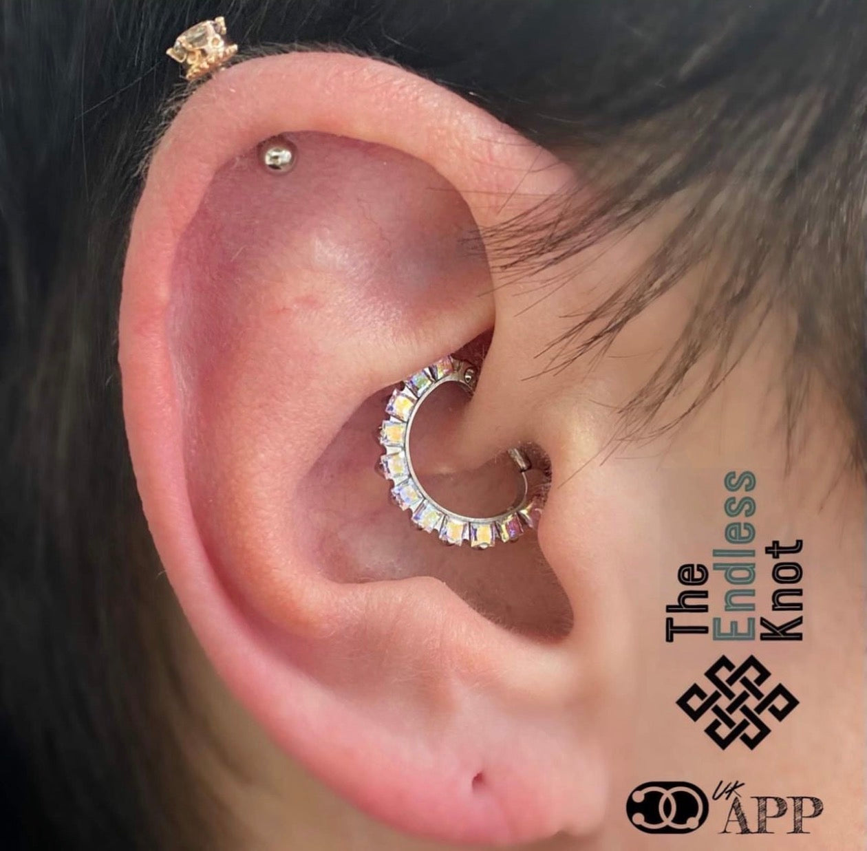 Septum / Daith