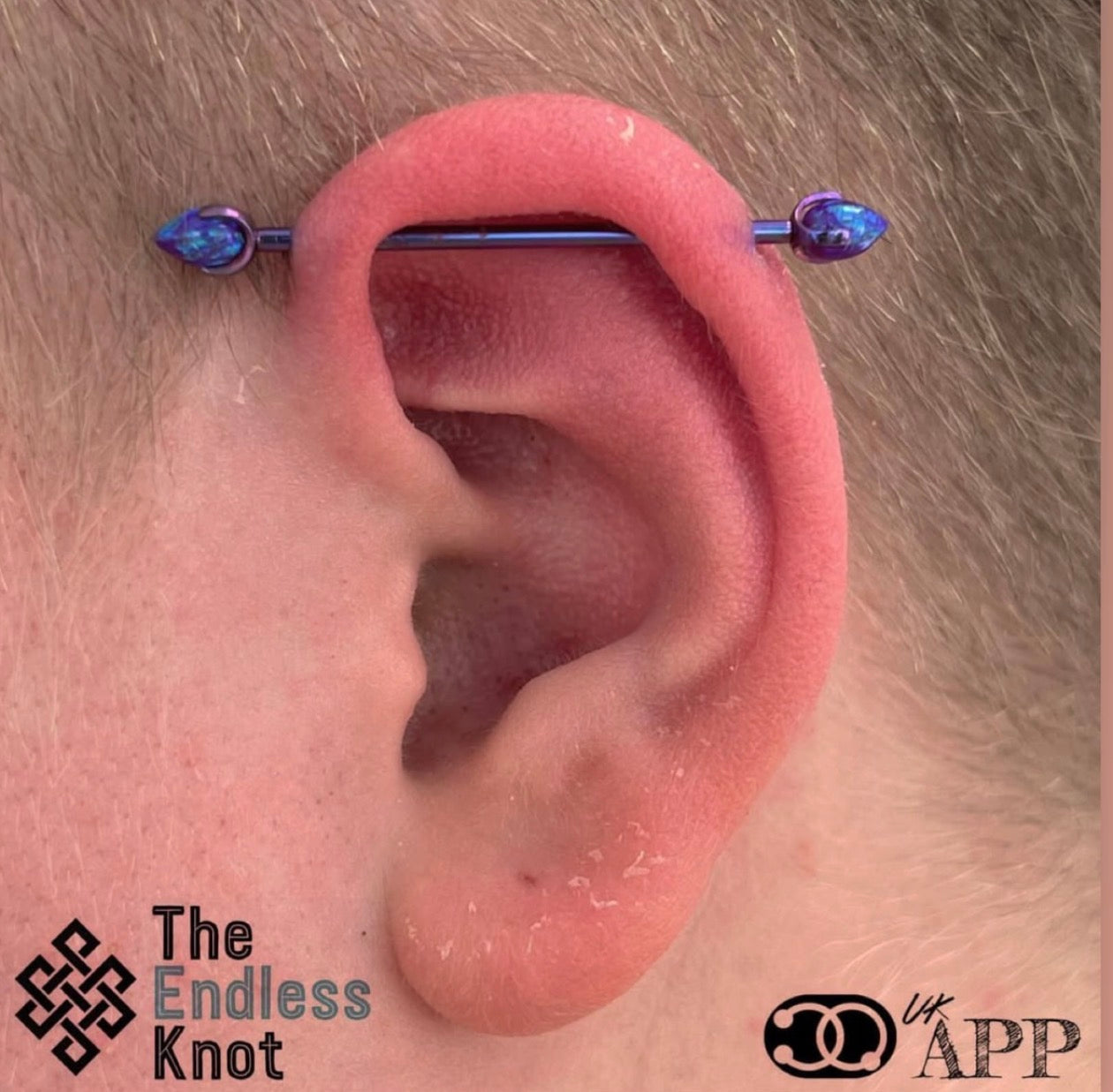Straight barbell in ear ￼