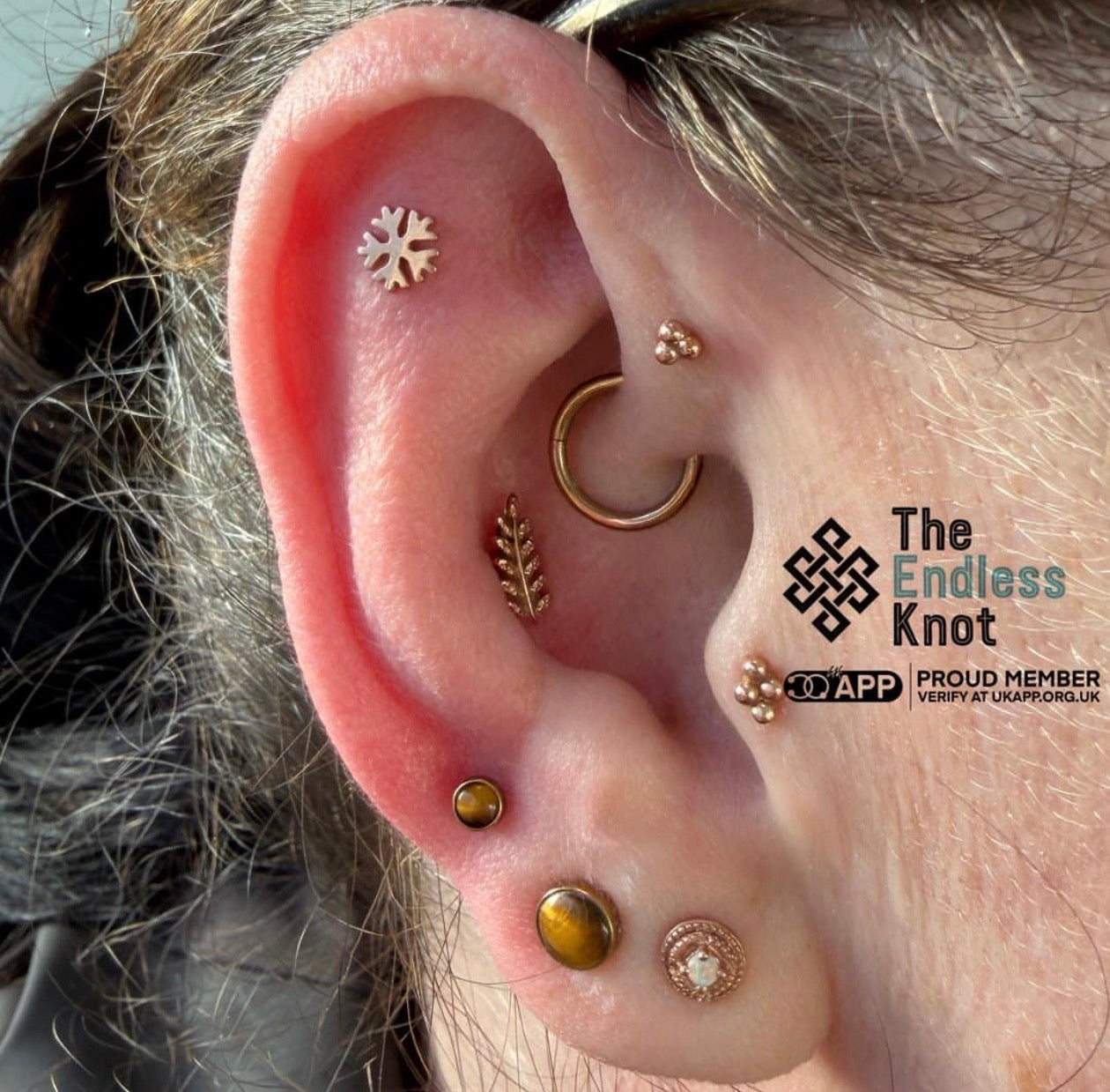 Oorkraakbeen (met labret)