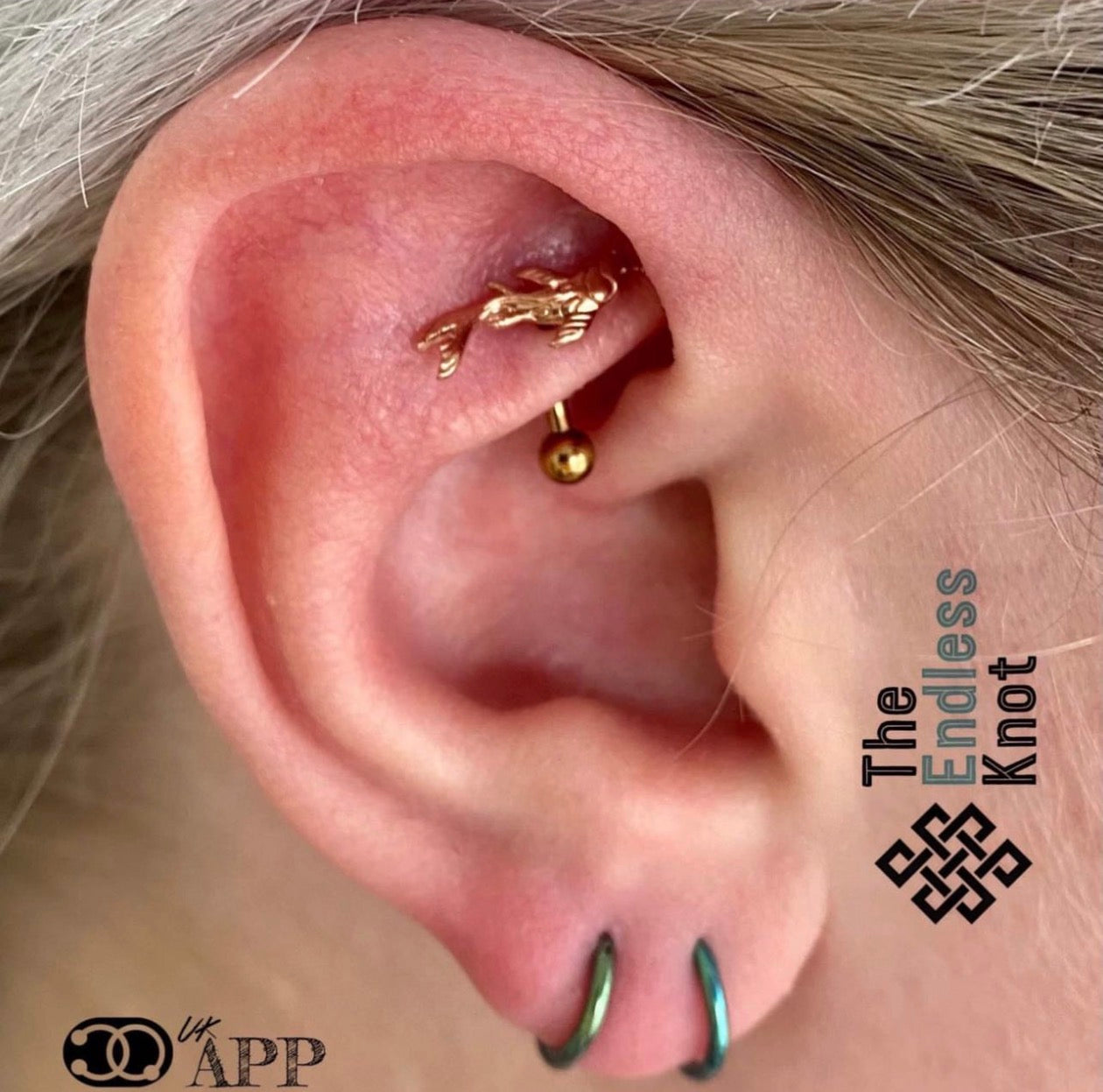 Curved barbell in ear