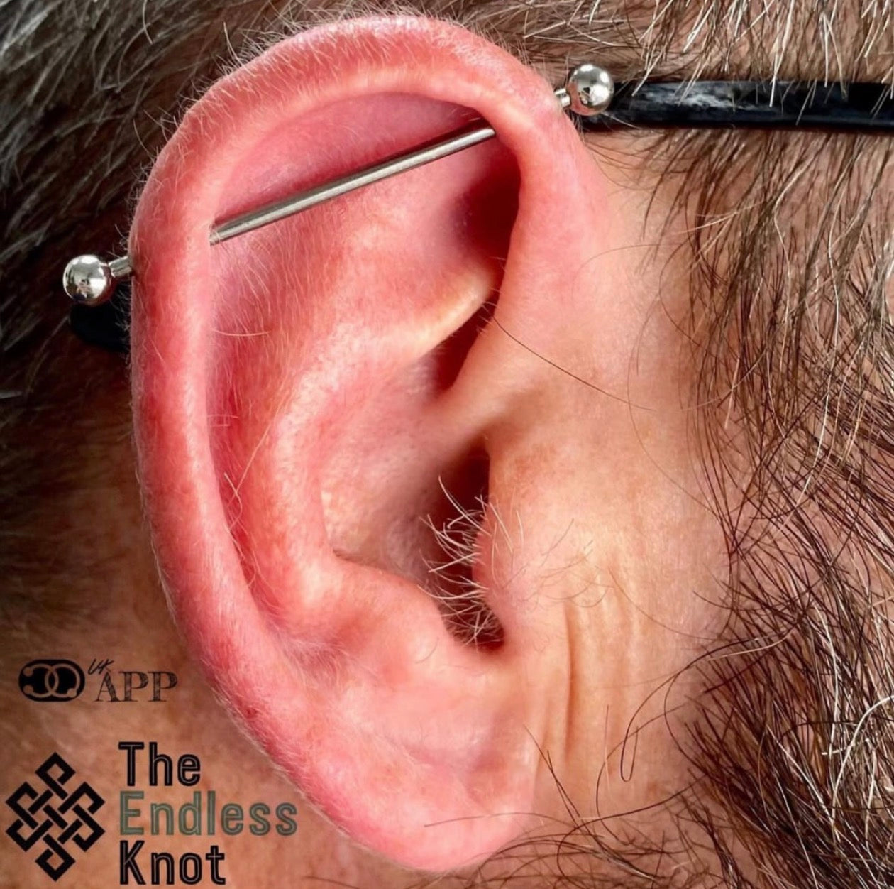 Straight barbell in ear ￼