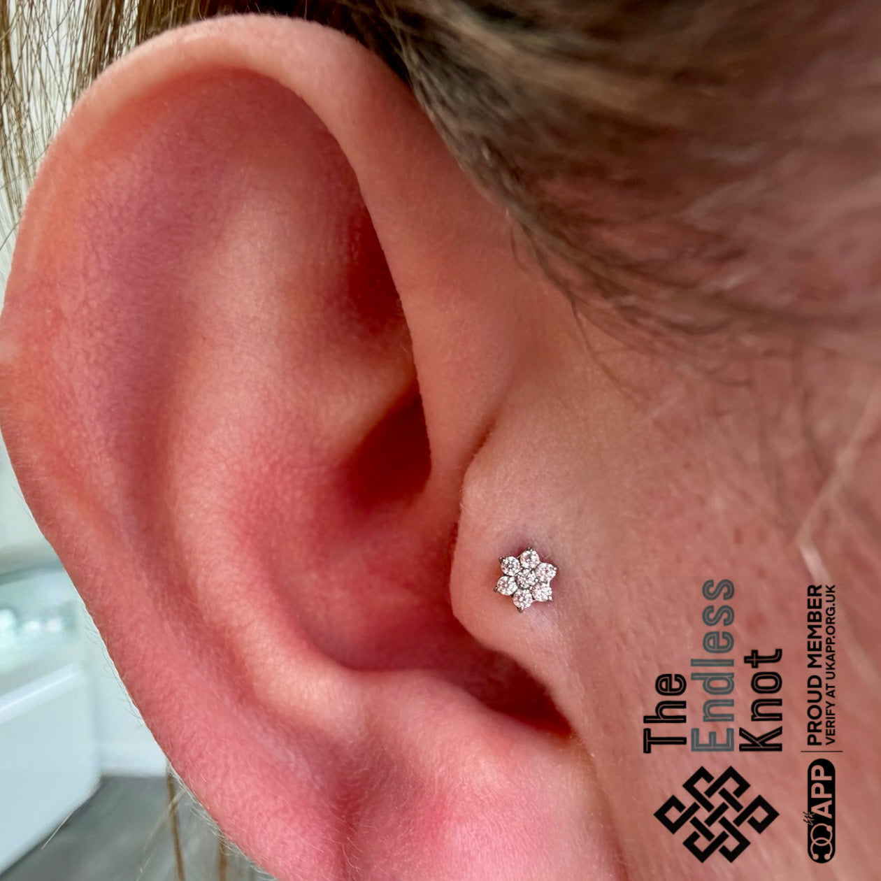 Oorkraakbeen (met labret)