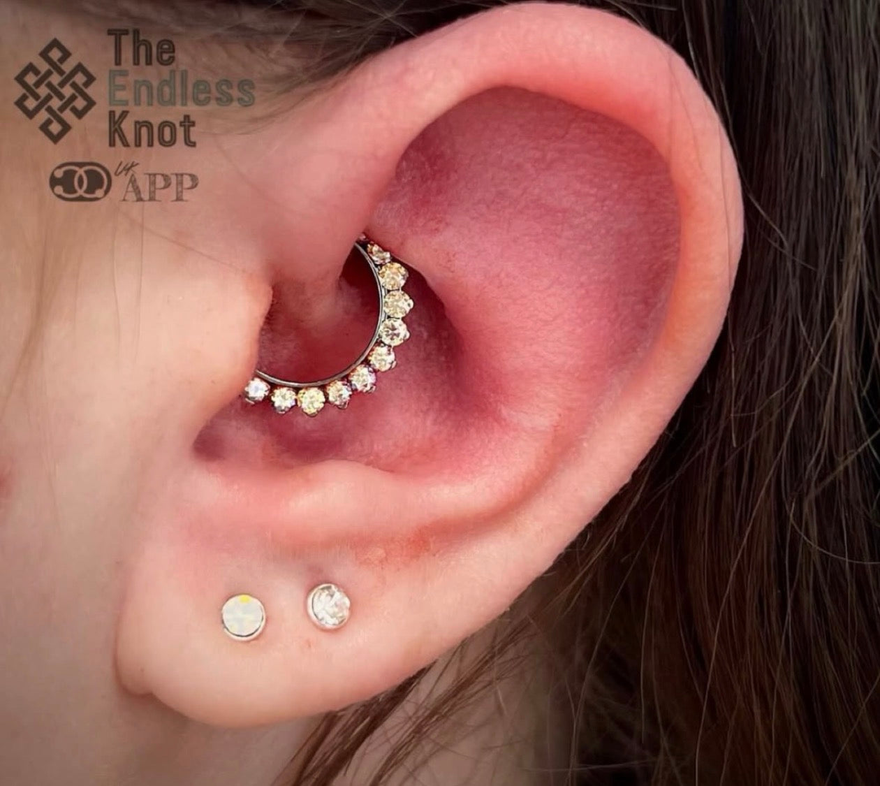 Septum / Daith