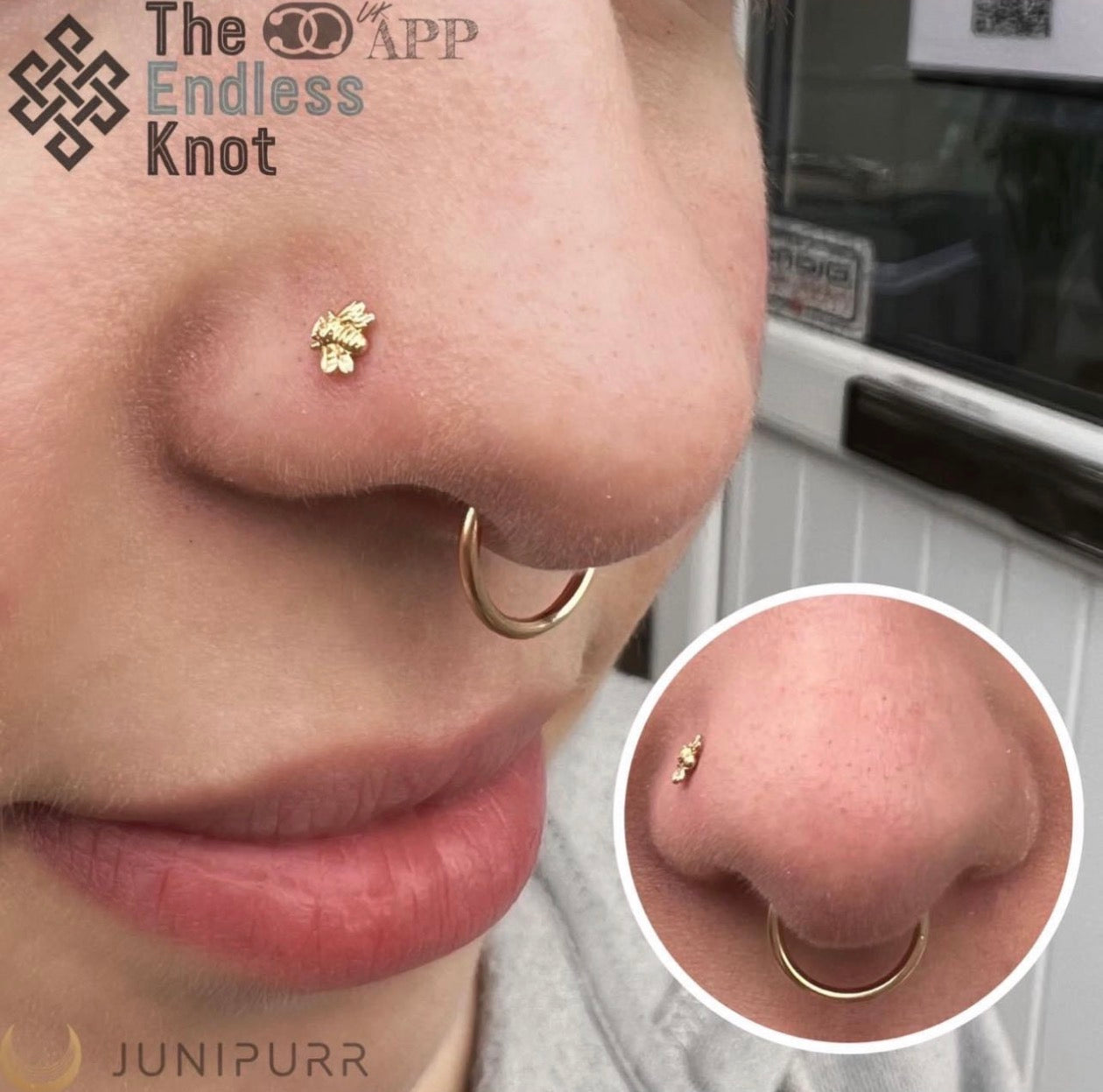 Septum / Daith