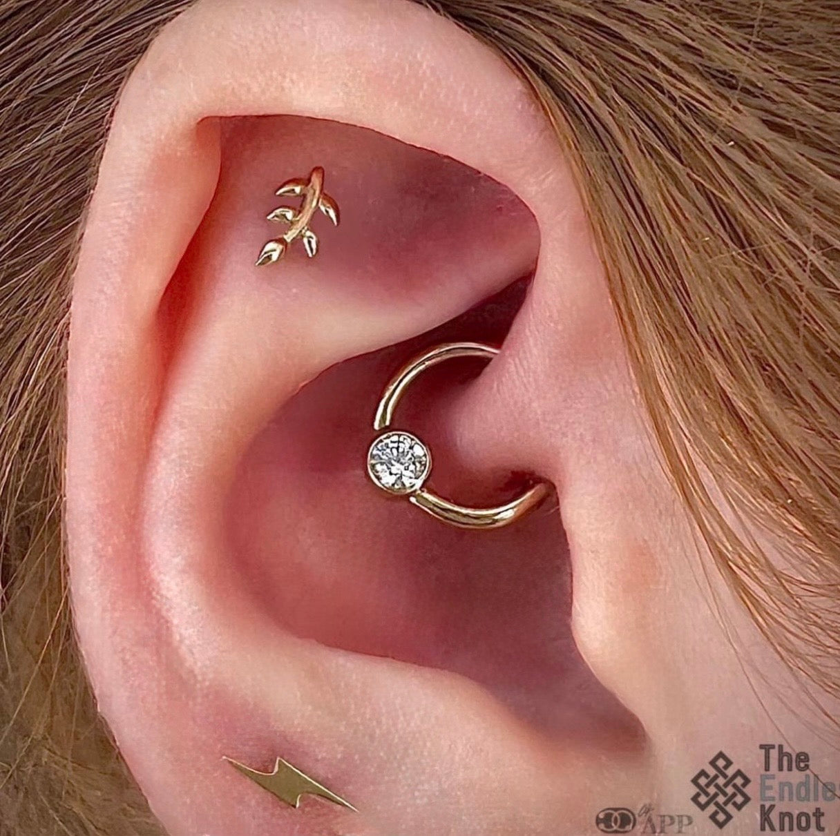 Septum / Daith
