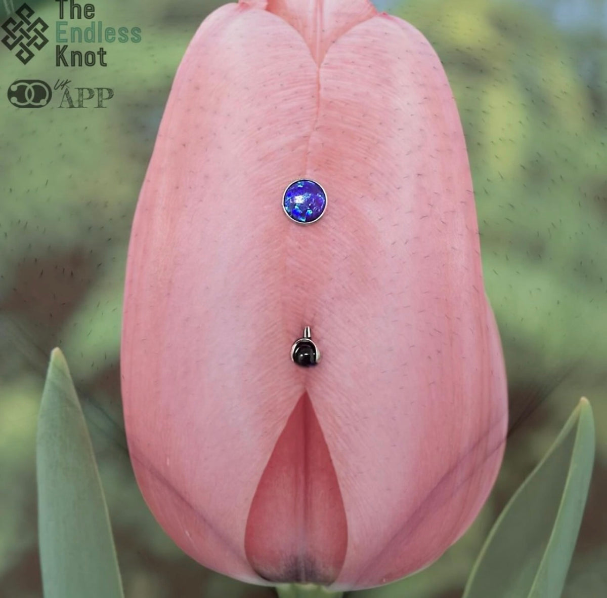 Specialist Piercing Appointment