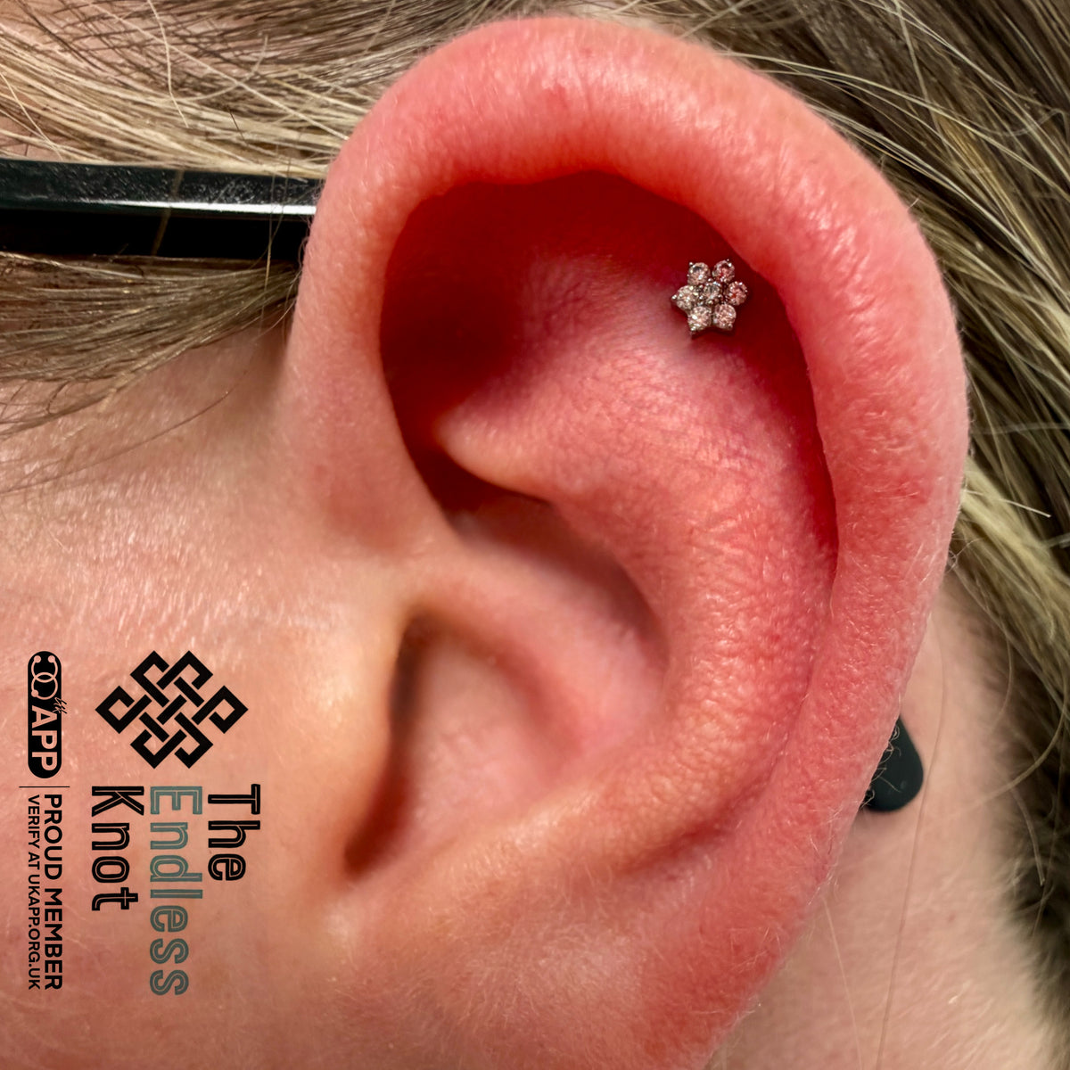 Classic Piercing Appointment