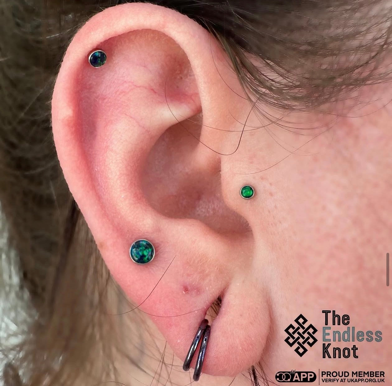 Oorkraakbeen (met labret)