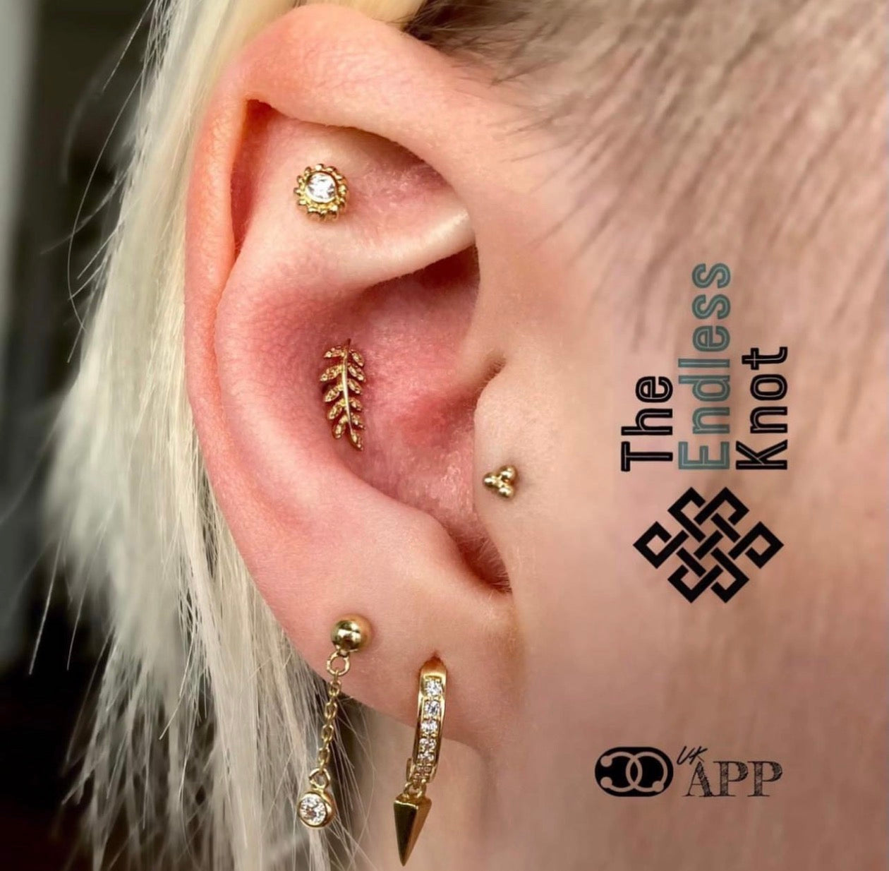 Oorkraakbeen (met labret)