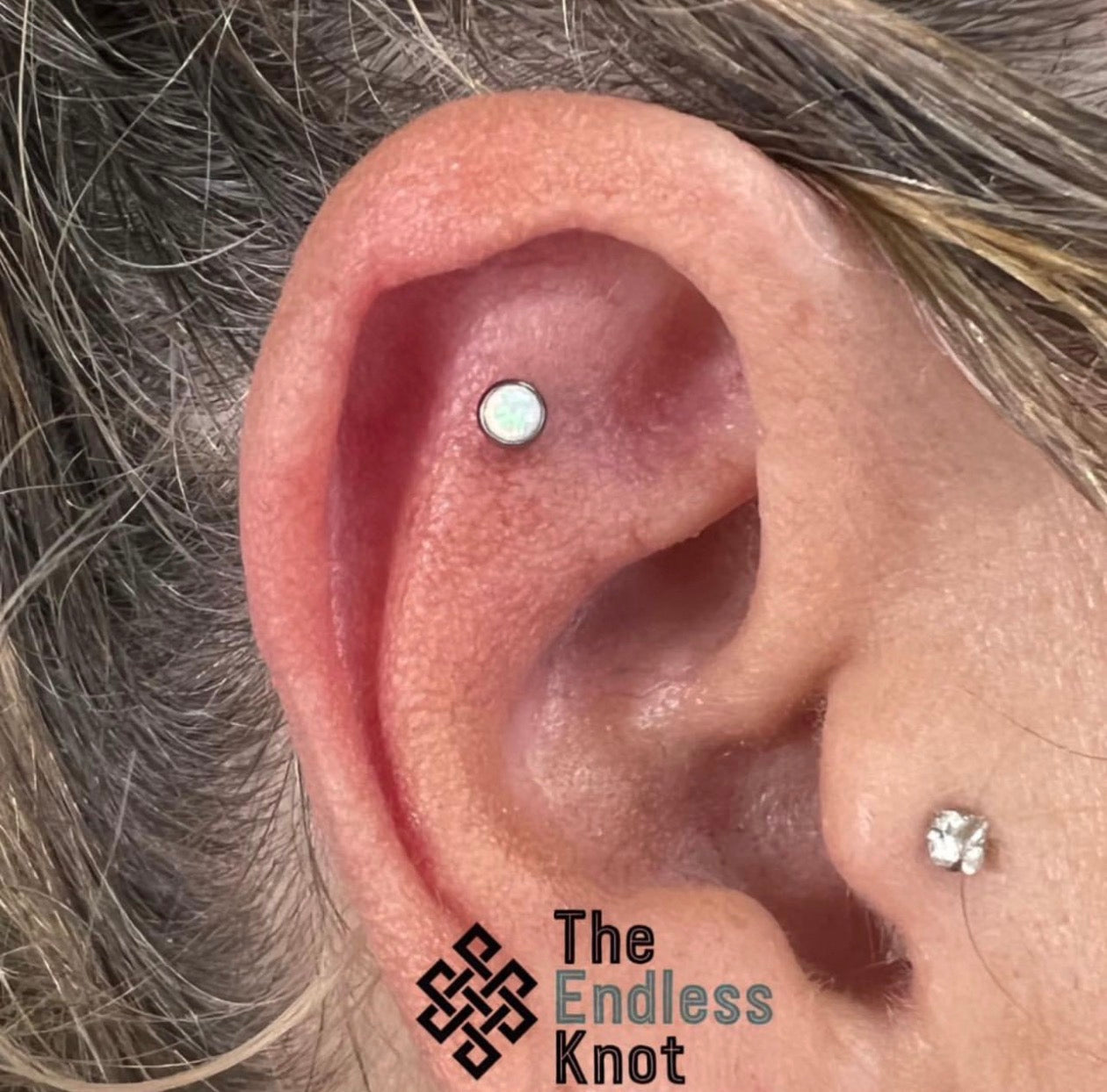 Oorkraakbeen (met labret)
