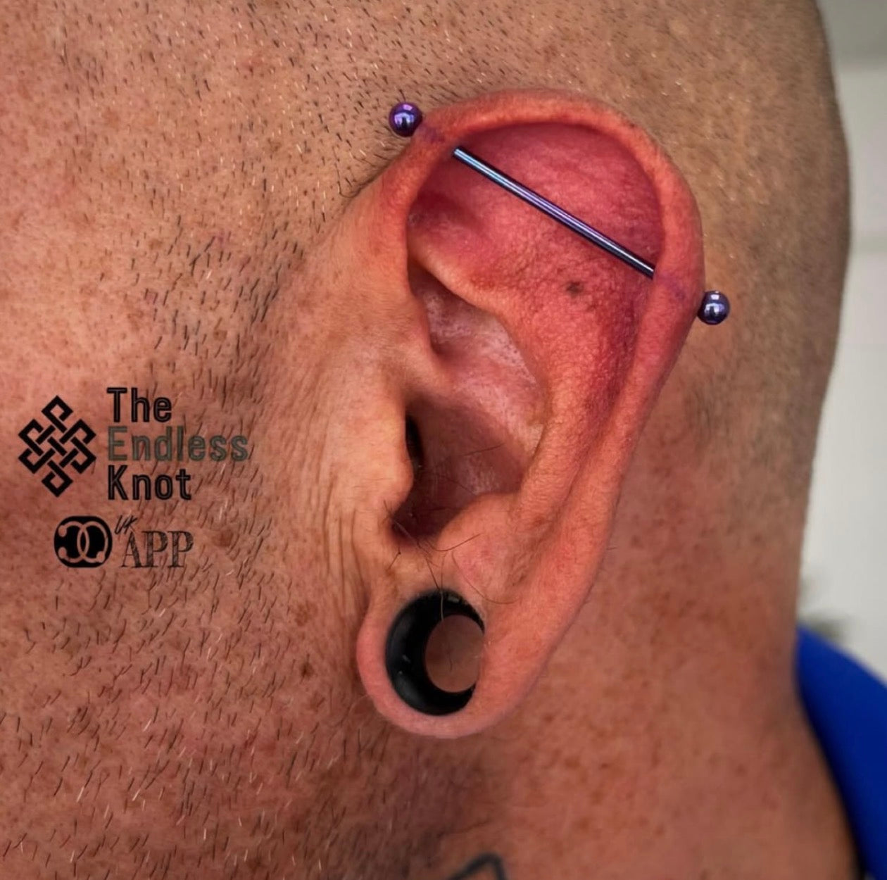 Straight barbell in ear ￼