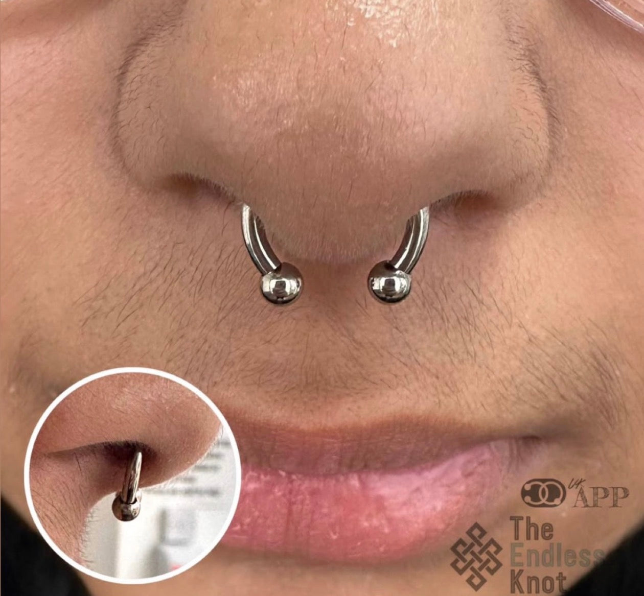 Septum / Daith
