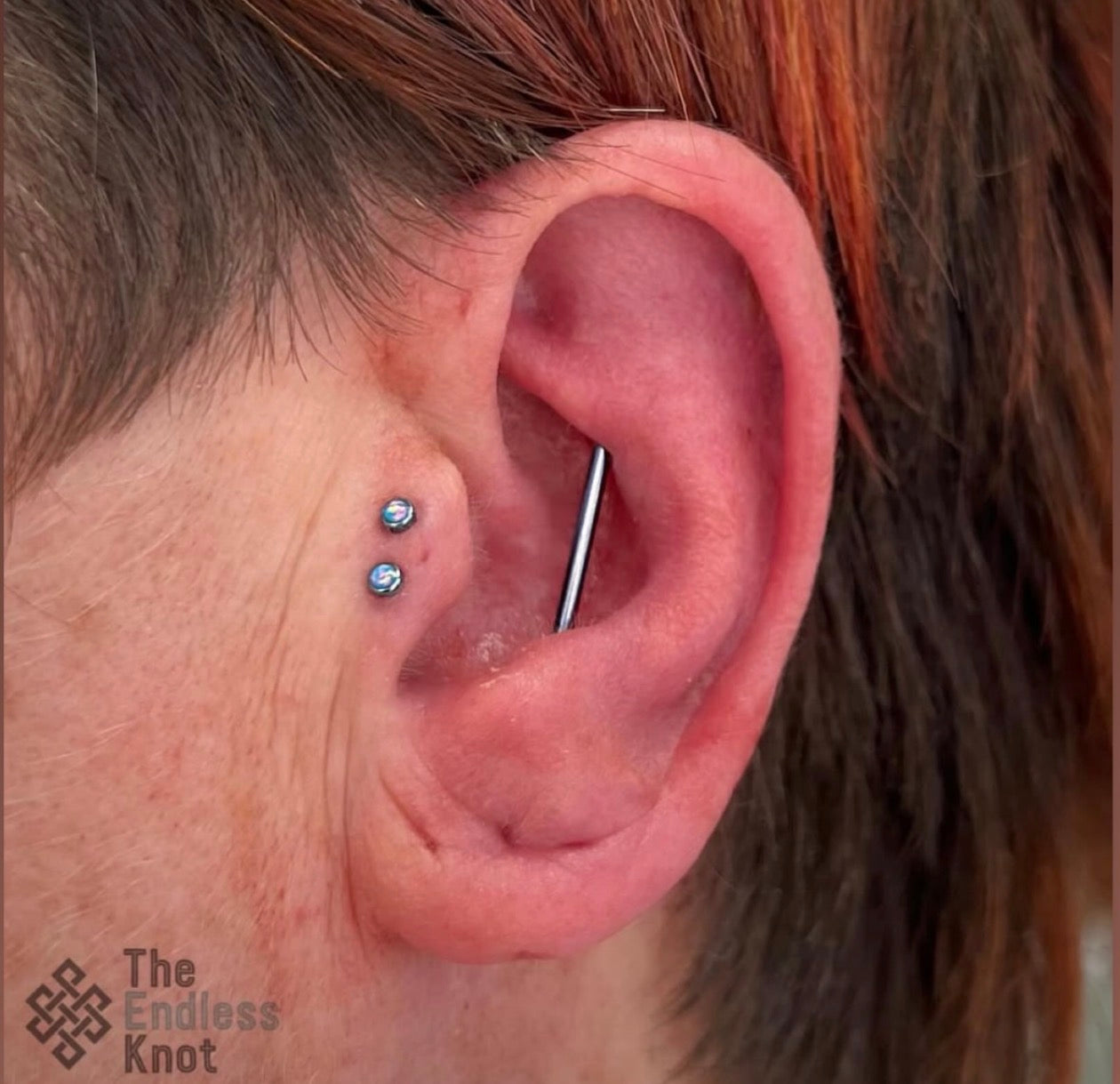 Straight barbell in ear ￼