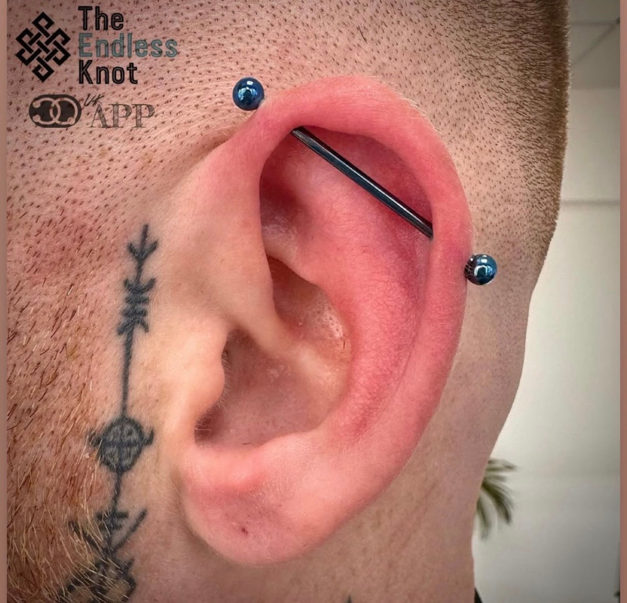 Straight barbell in ear ￼