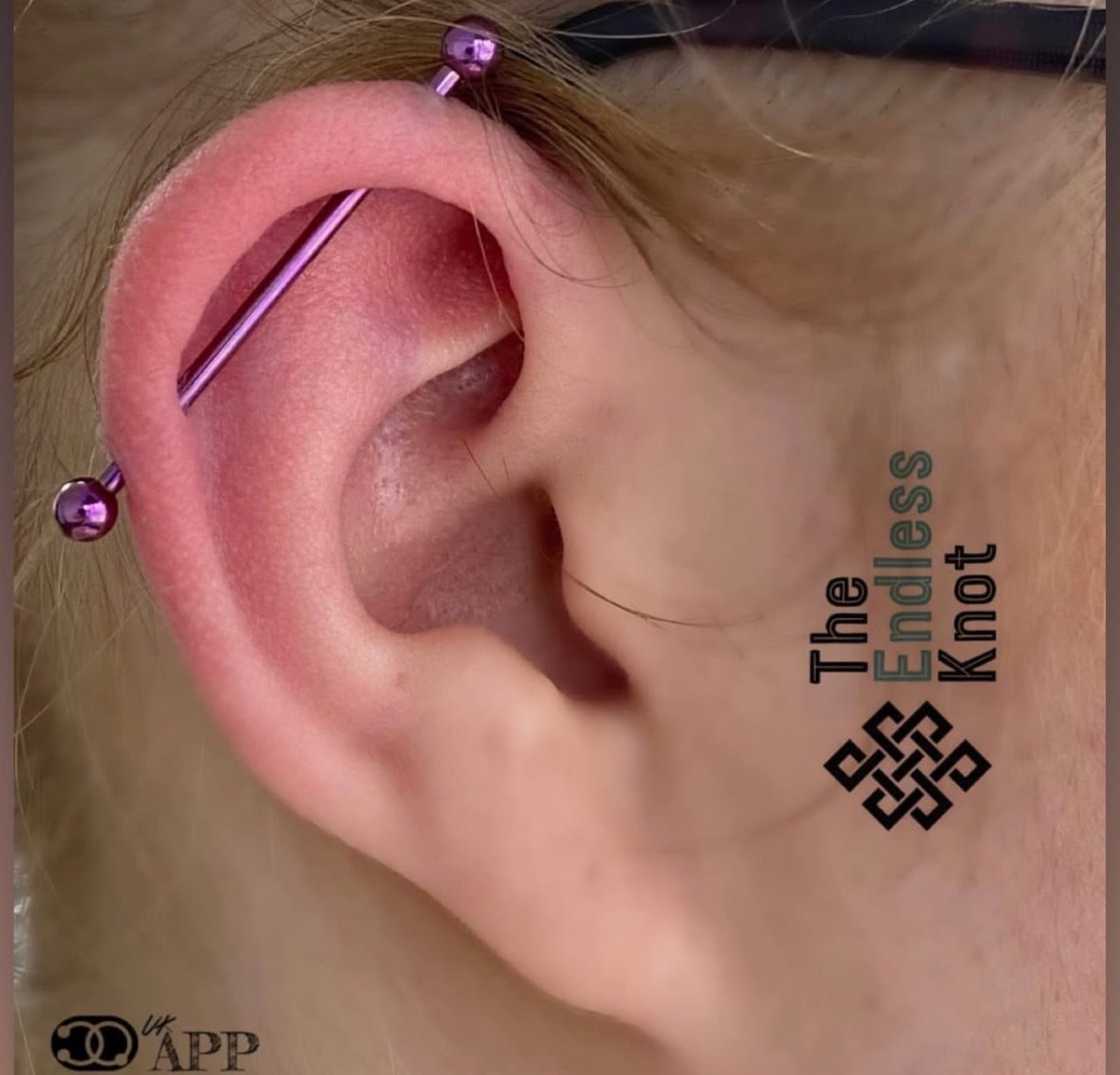 Straight barbell in ear ￼
