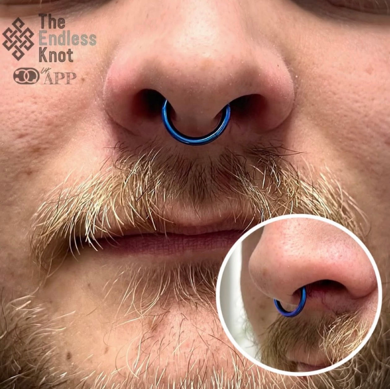 Septum / Daith