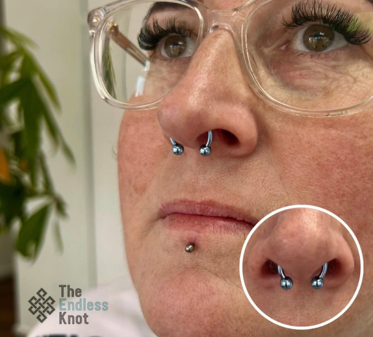 Septum / Daith