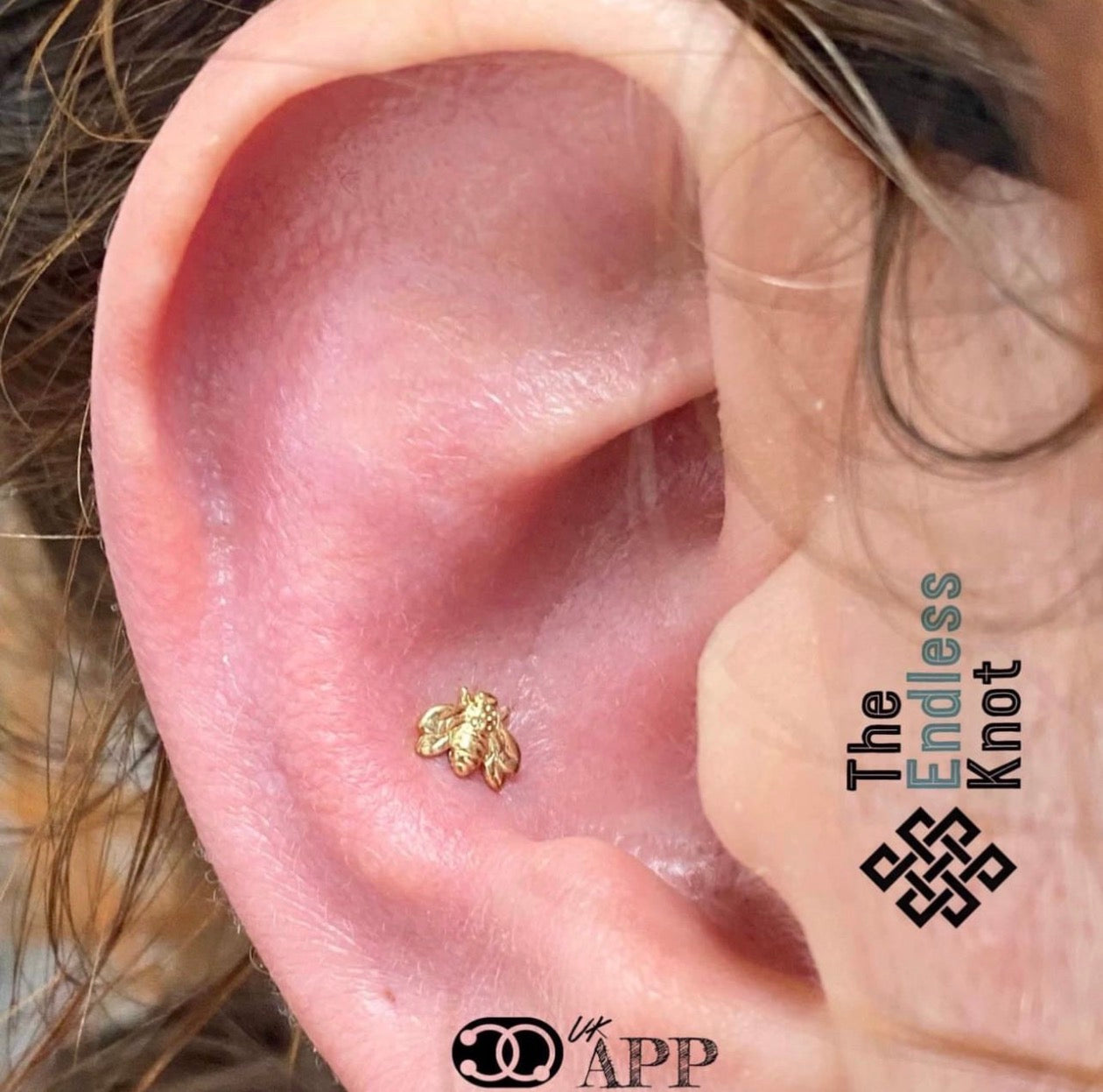 Oorkraakbeen (met labret)