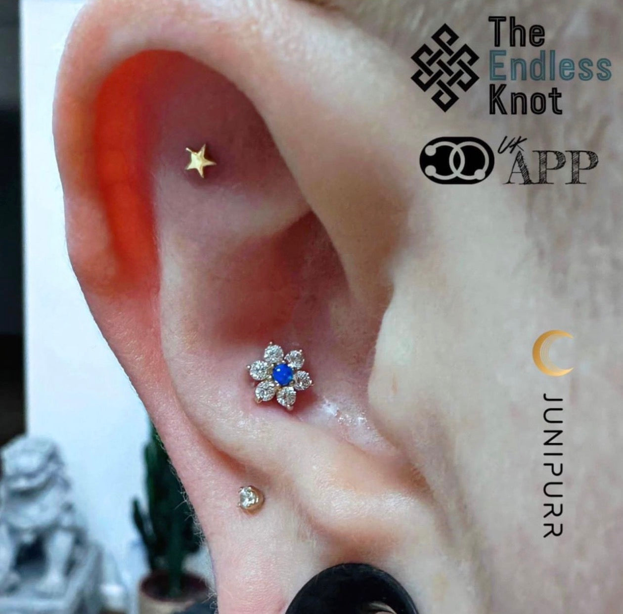 Oorkraakbeen (met labret)