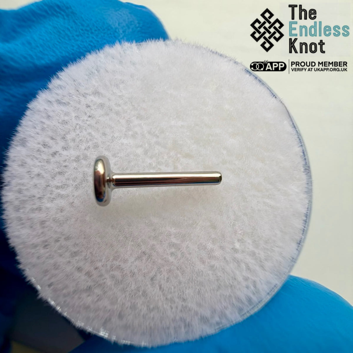 Threadless Labret