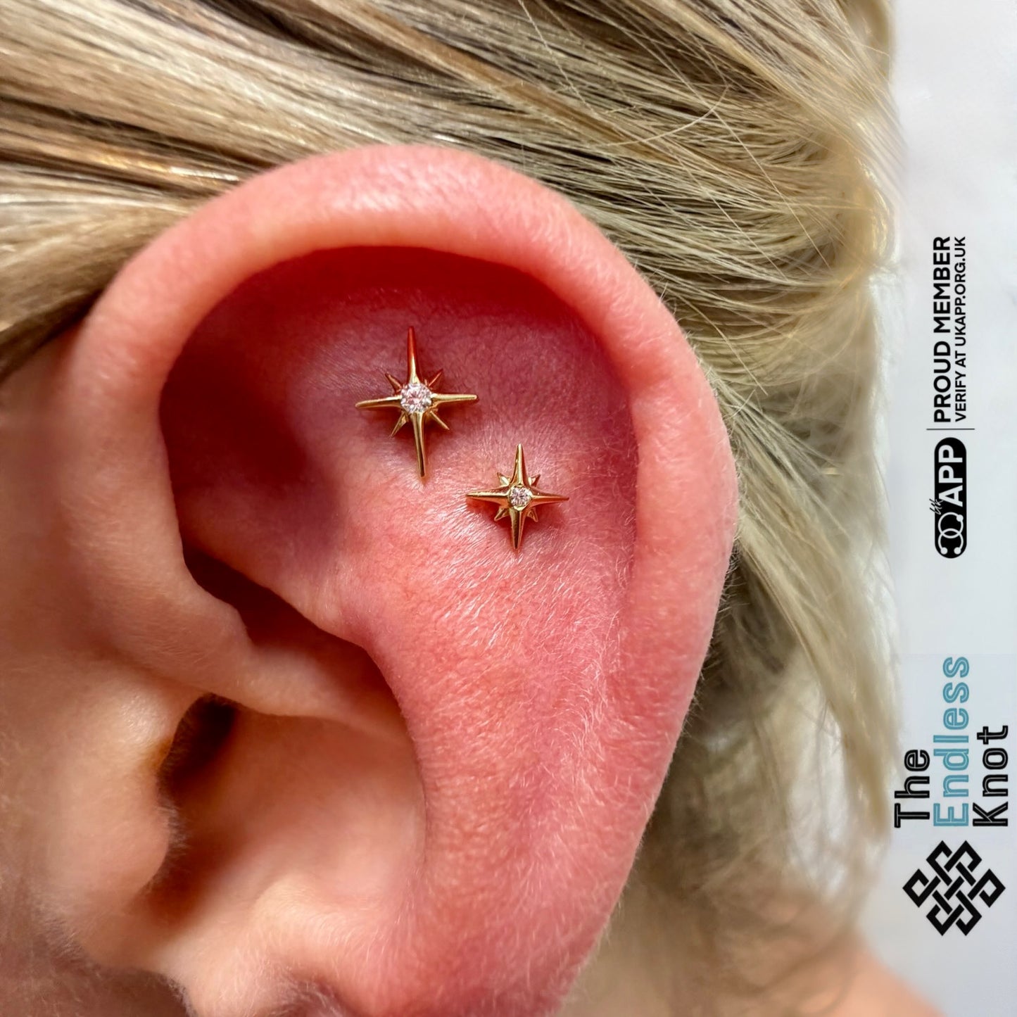 Oorkraakbeen (met labret)