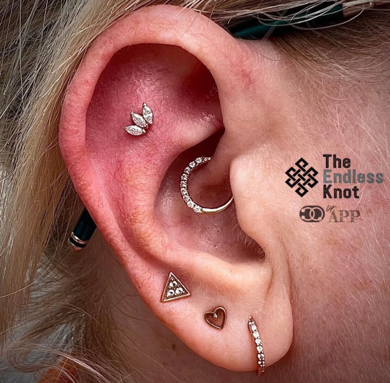 Oorkraakbeen (met labret)