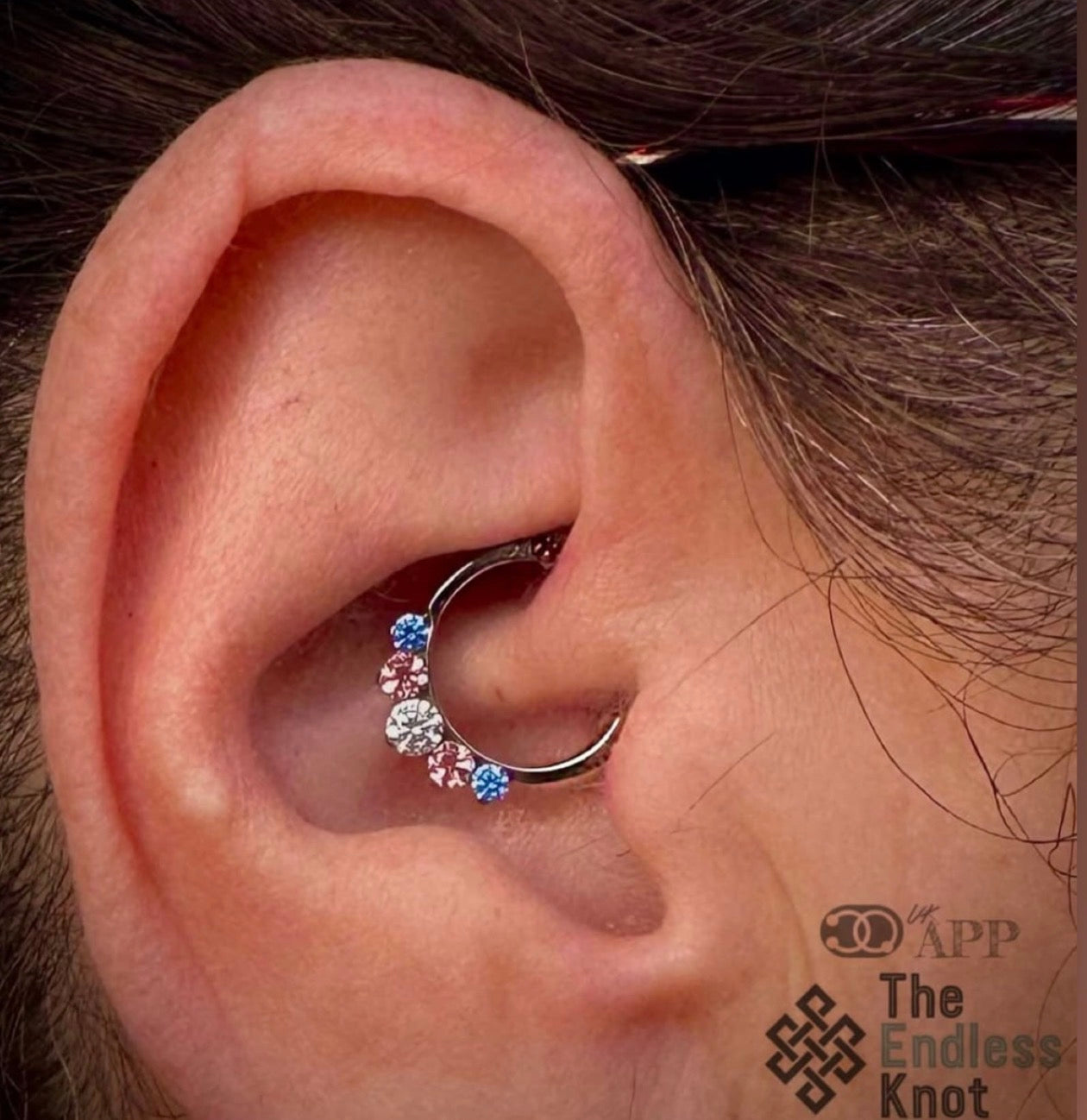 Septum / Daith