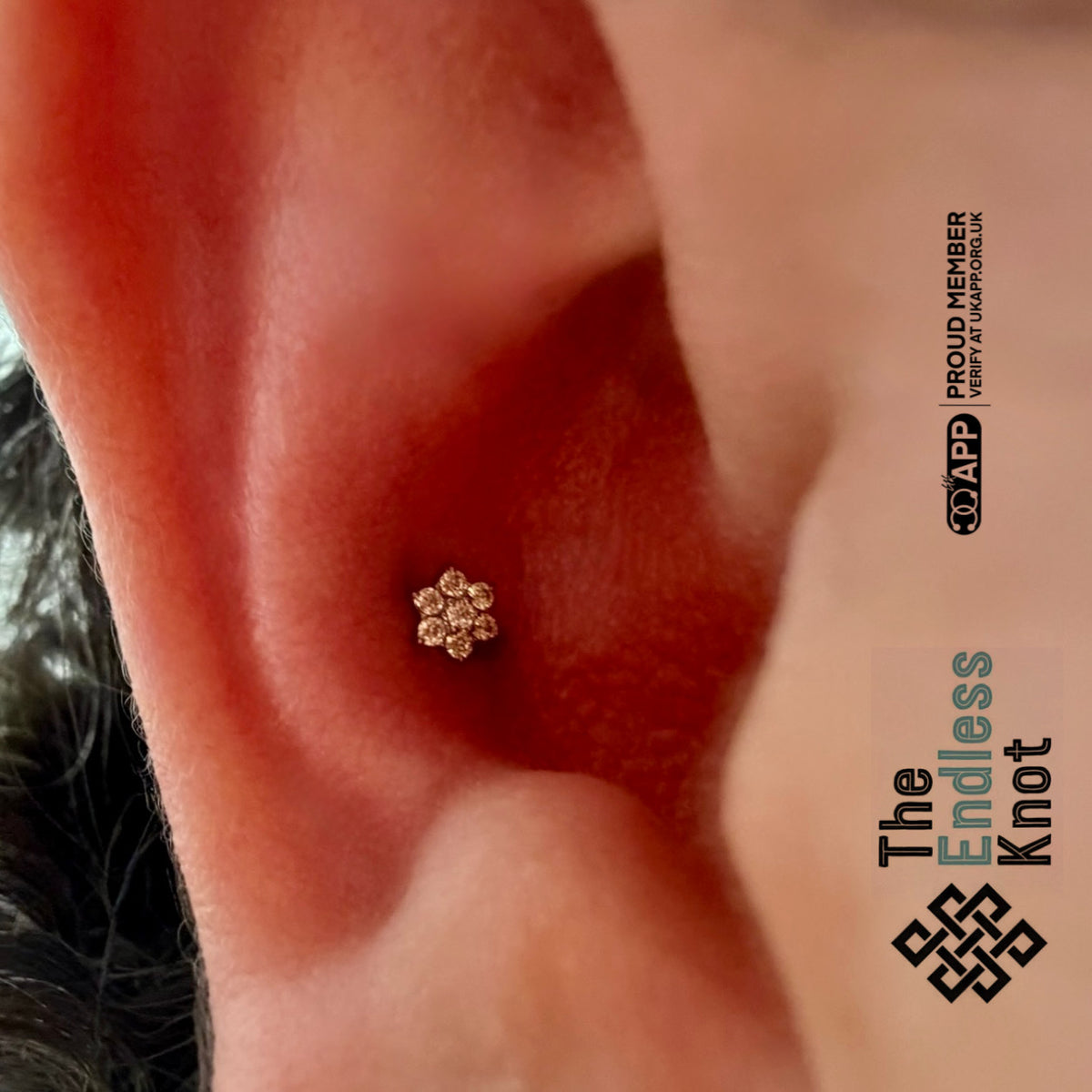 Classic Piercing Appointment