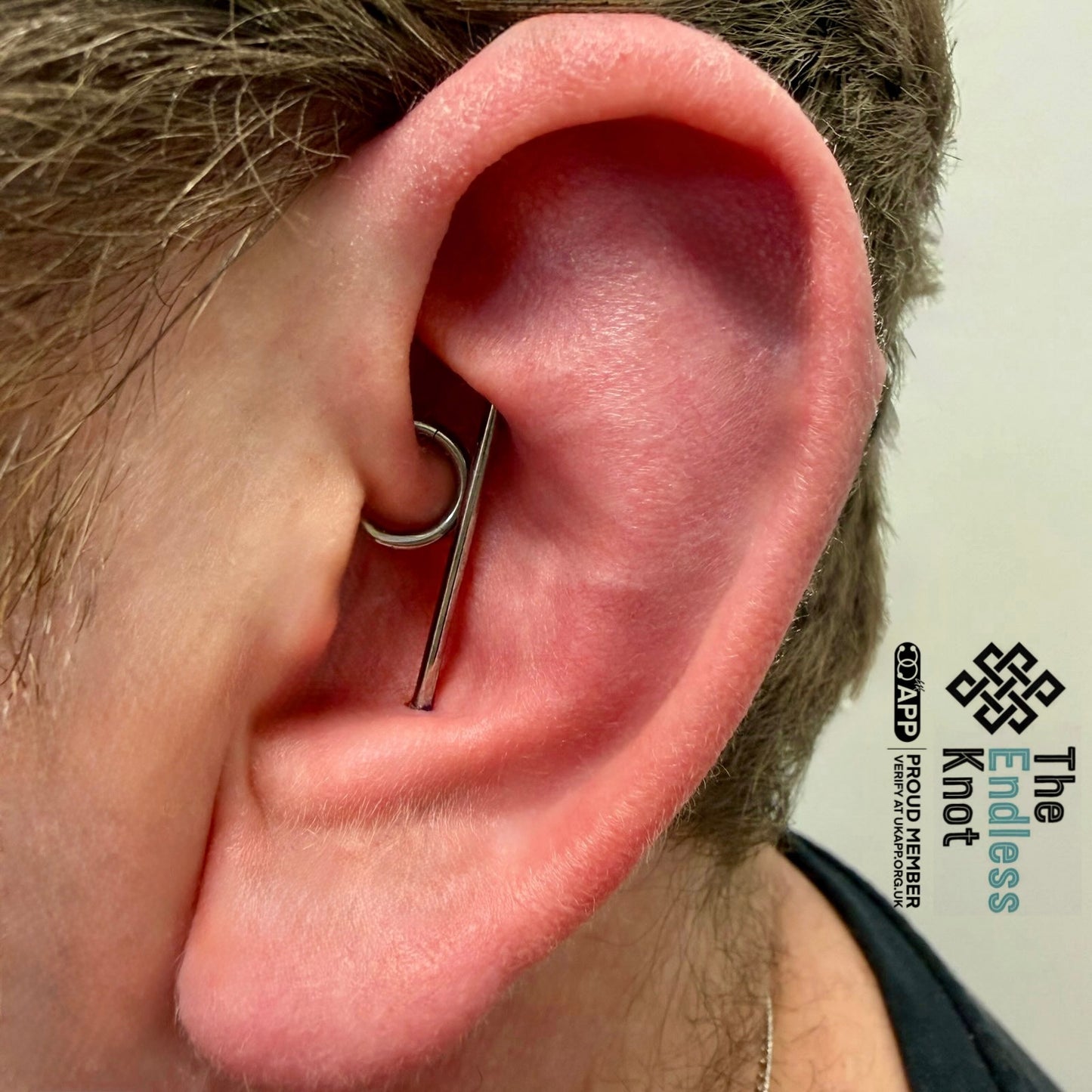 Straight barbell in ear ￼