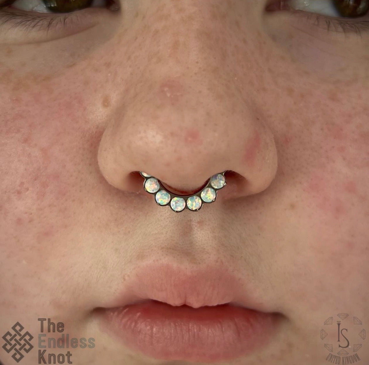 Septum / Daith