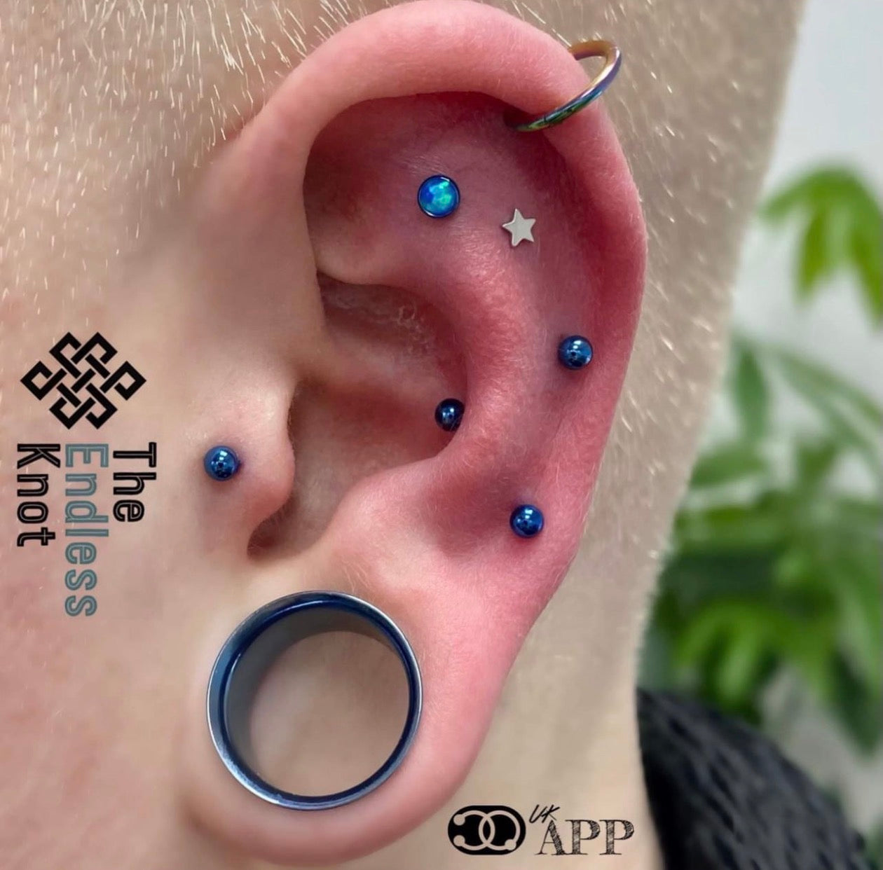 Oorkraakbeen (met labret)