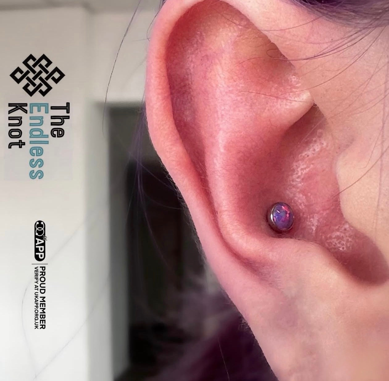 Oorkraakbeen (met labret)
