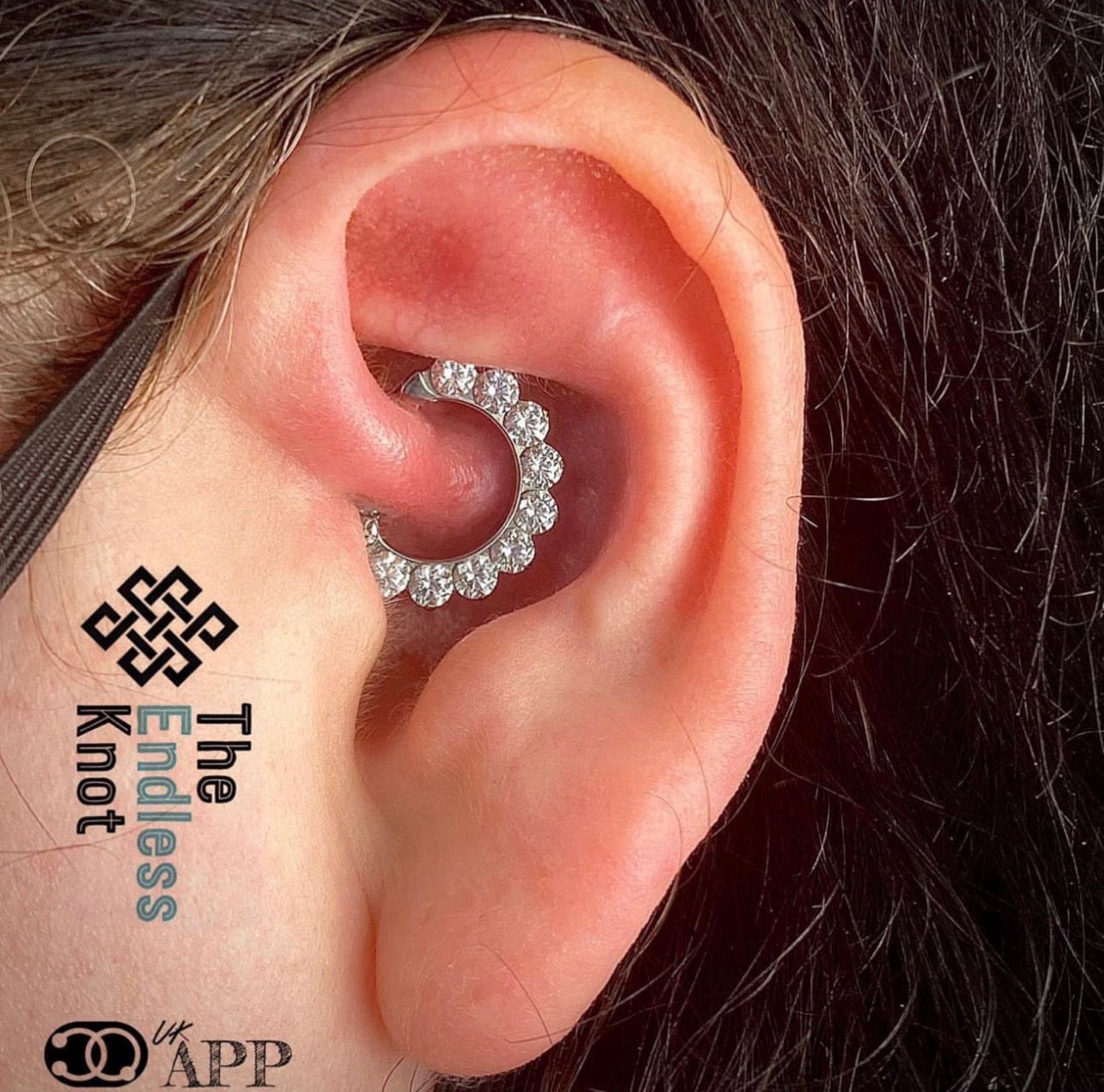 Septum / Daith