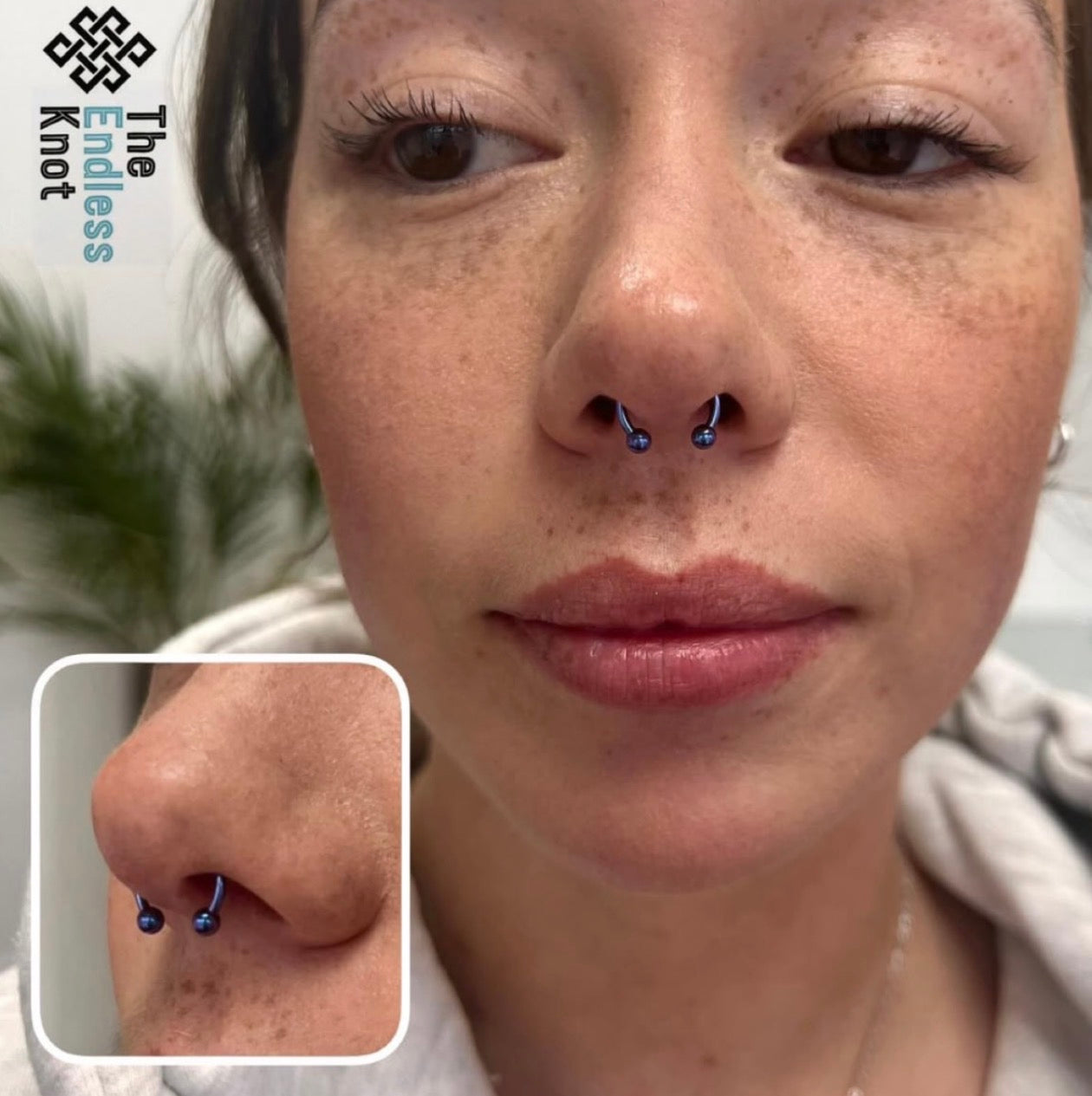 Septum / Daith