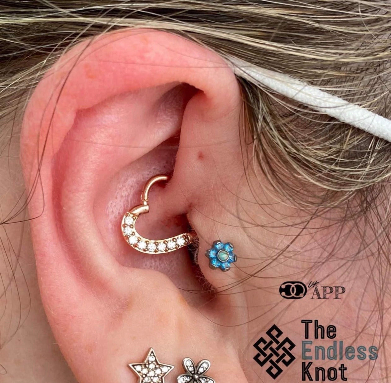 Septum / Daith