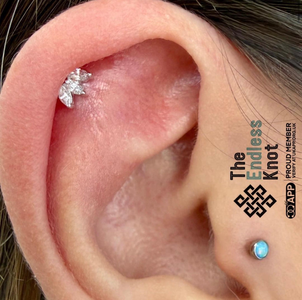 Classic Piercing Appointment