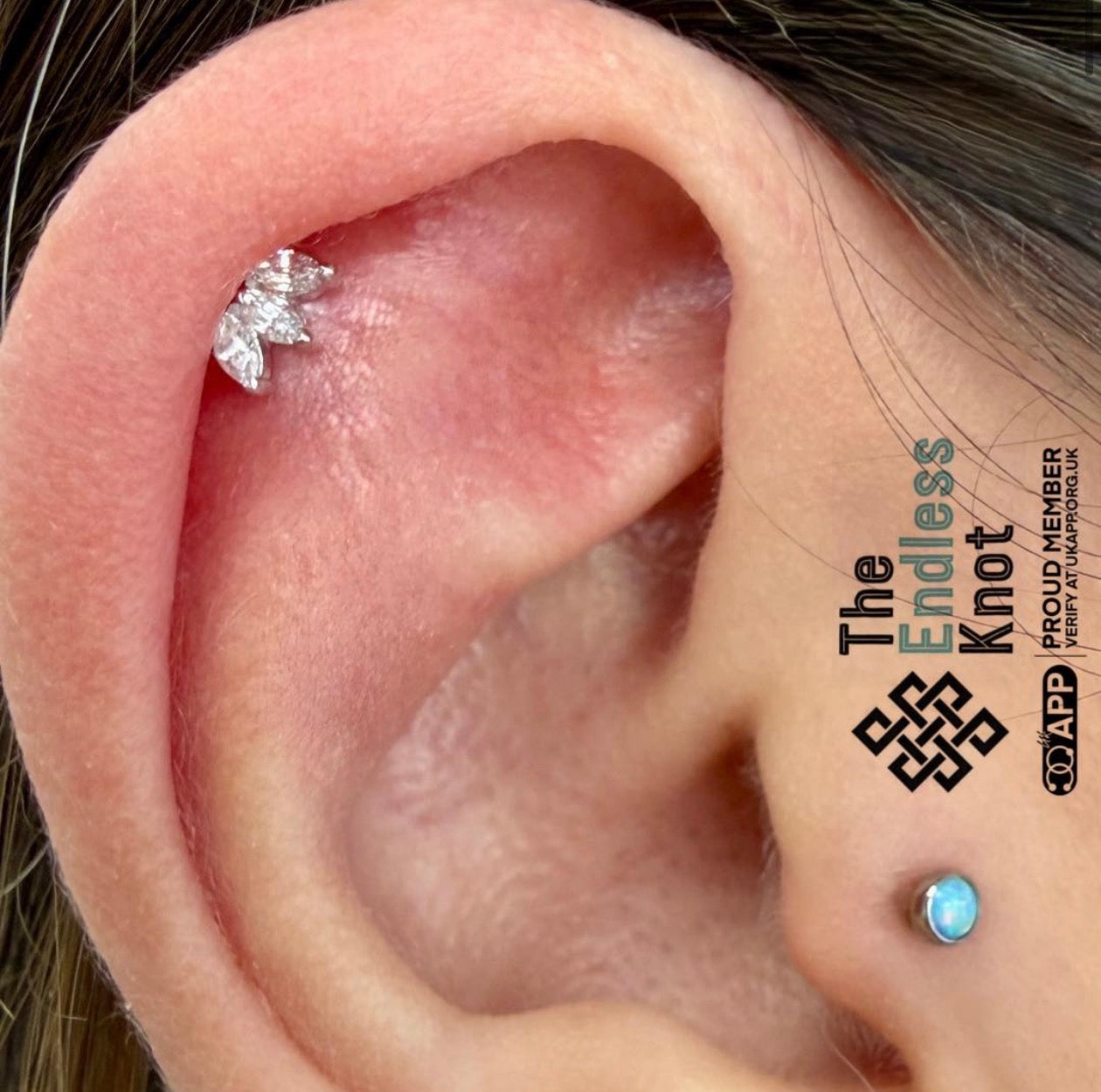 Oorkraakbeen (met labret)