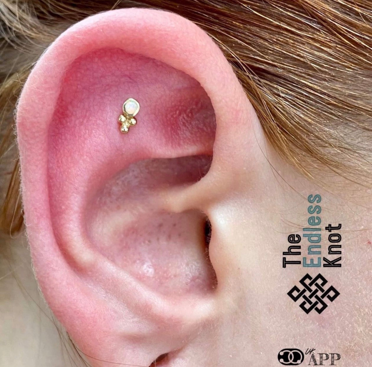 Oorkraakbeen (met labret)