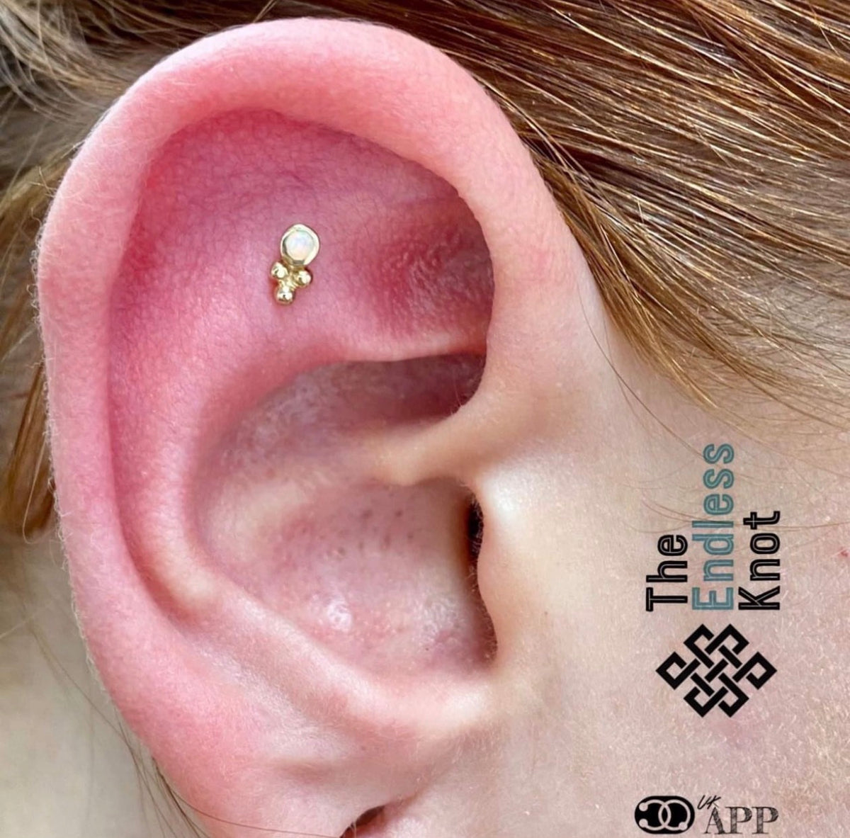 Classic Piercing Appointment