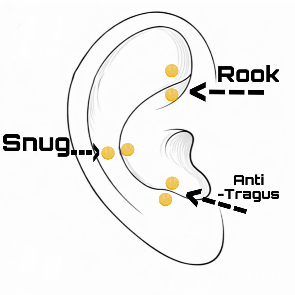 Curved barbell in ear