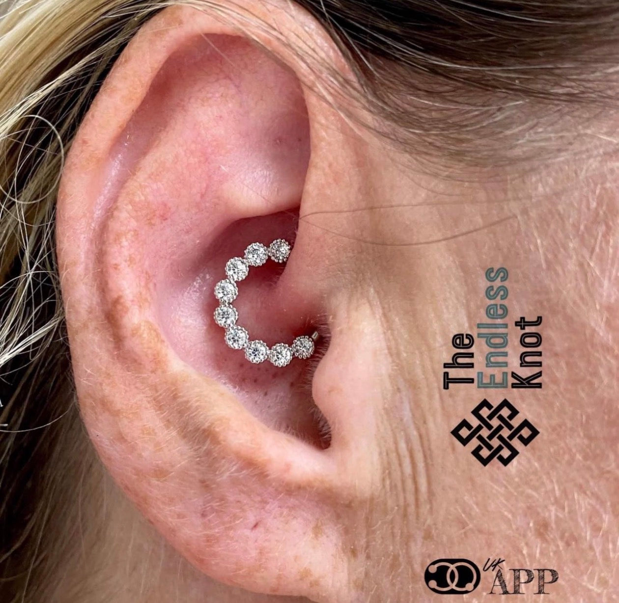 Septum / Daith