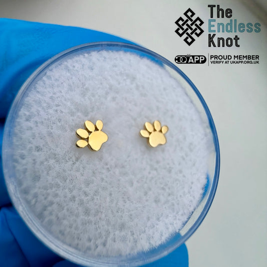14ct dog paw