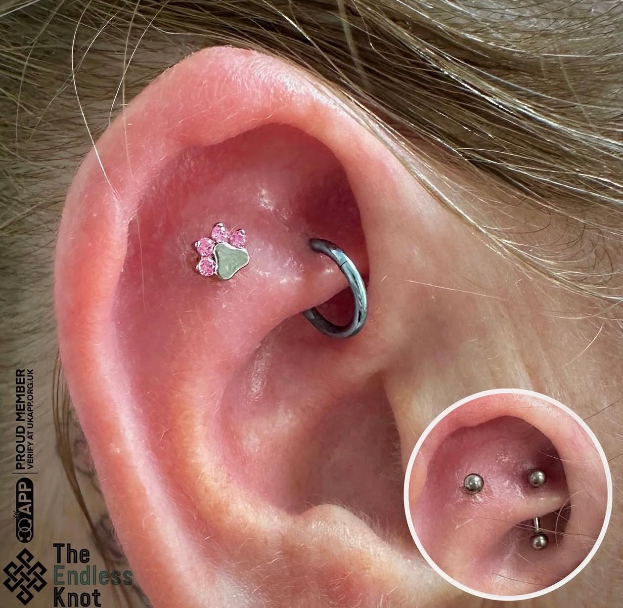 Oorkraakbeen (met labret)