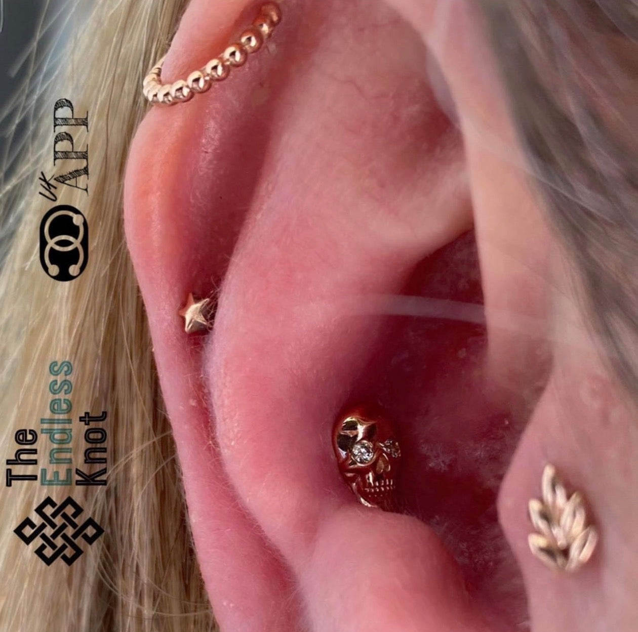 Oorkraakbeen (met labret)