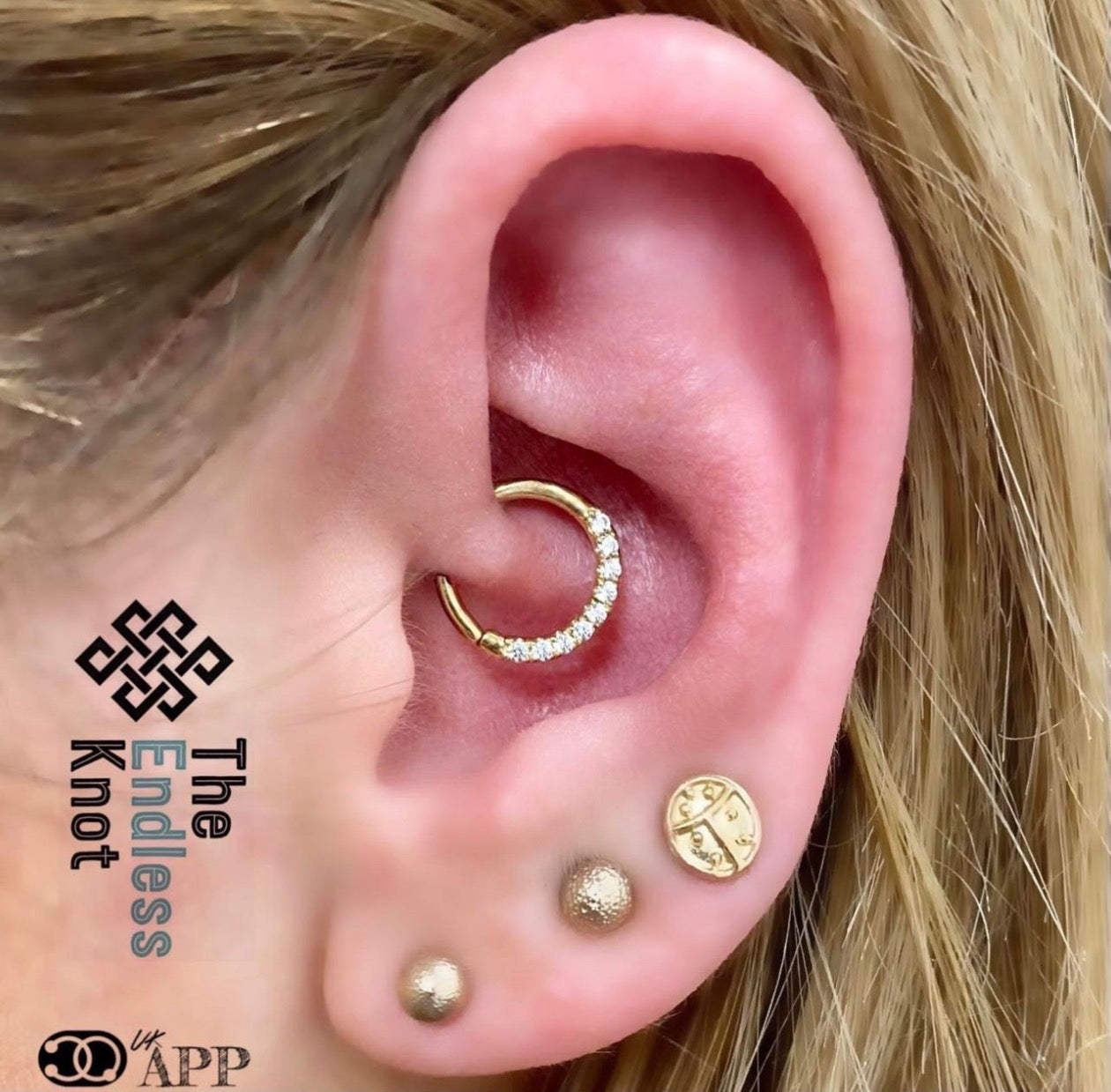 Septum / Daith