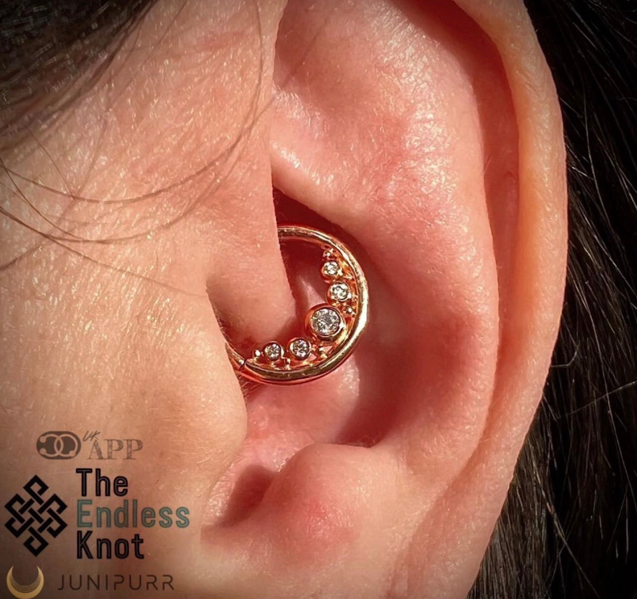 Septum / Daith