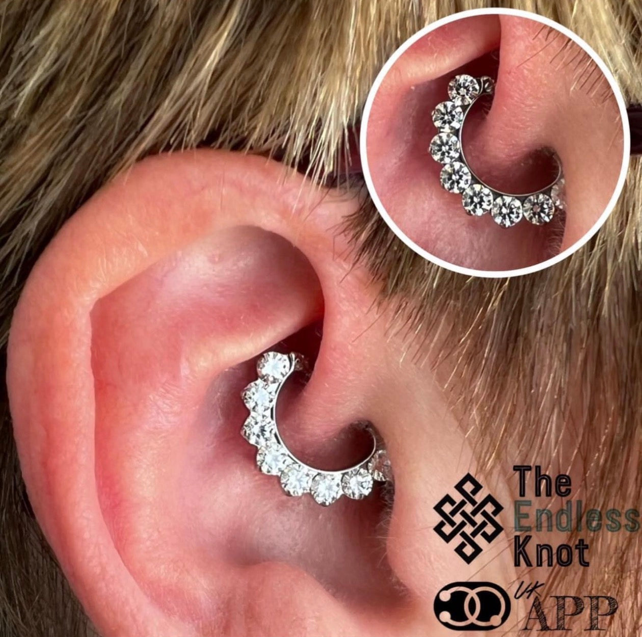 Septum / Daith