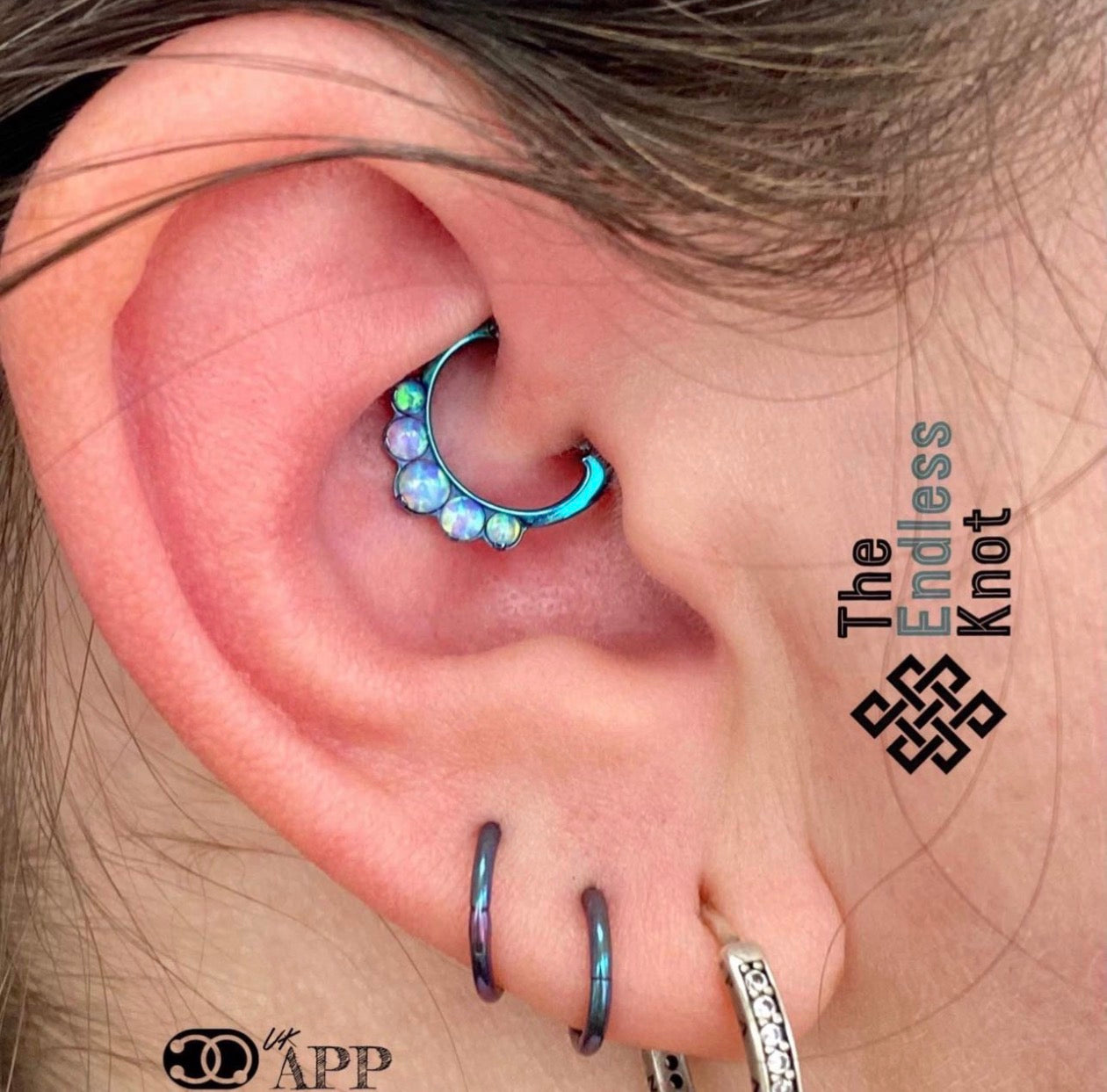 Septum / Daith