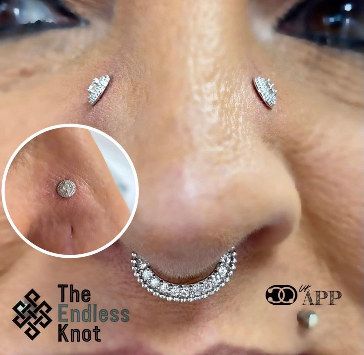 Septum / Daith