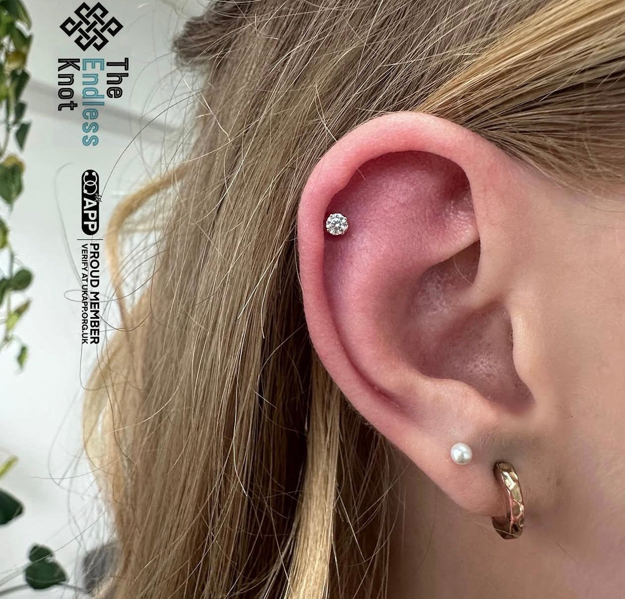 Oorkraakbeen (met labret)